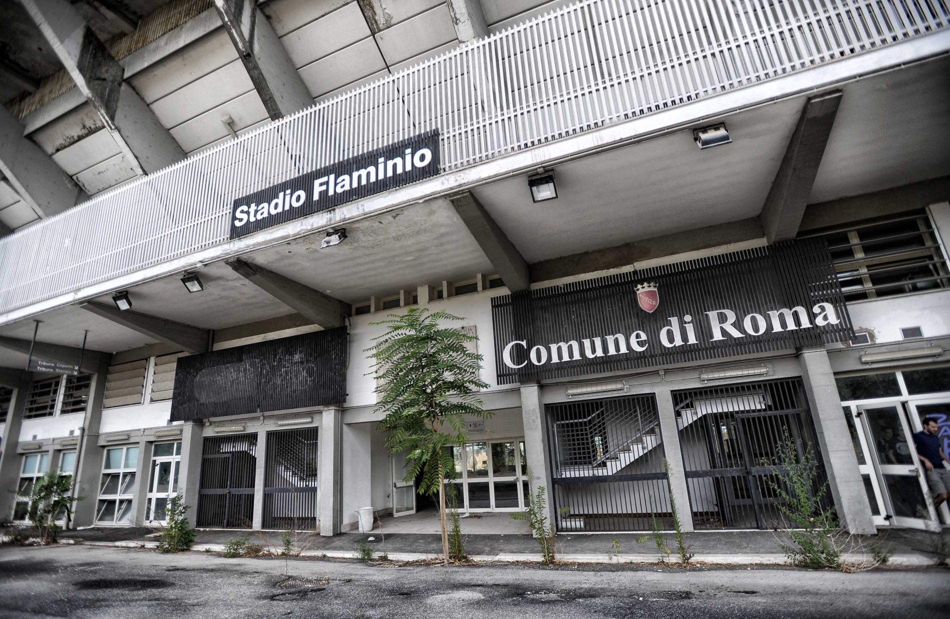 Flaminio Lazio