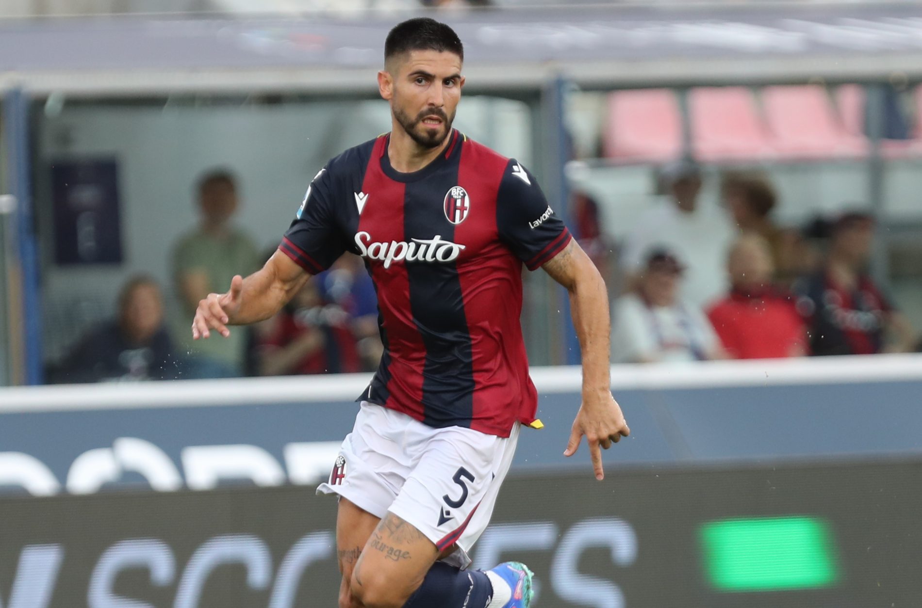 Erlic Bologna