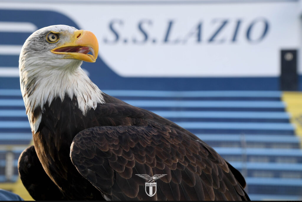 Lazio Aquila Flaminia