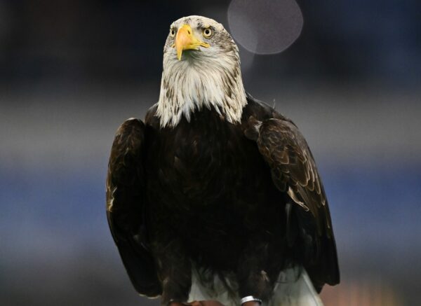 Aquila Flaminia Lazio